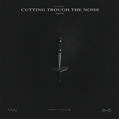 Cutting Through The Noise