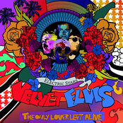Velvet Elvis the Only Lover Left Alive