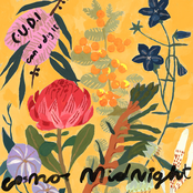 Cosmo's Midnight: C.U.D.I (Can U Dig It)