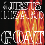 The Jesus Lizard: Goat