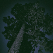 everything comes to an end