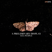 A Preliminary Display