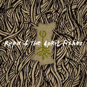 No Olvidado by Rupa & The April Fishes