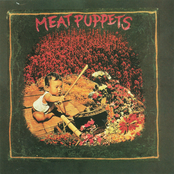 Our Friends by Meat Puppets