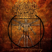 Demonstration Of Negative Way