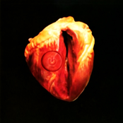 Von Herzen EP [REI|DCC01|MDF]