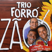 Ela Nem Olhou Pra Mim by Trio Forrozão