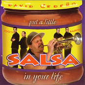 Put a Little Salsa in Your Life
