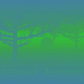 Cloud Jungle