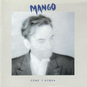 Il Condor by Mango