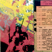 Luna Y Panorama De Los Insectos