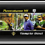 Apocalipse 16 e Templo Soul