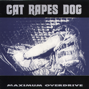 You Got The Right by Cat Rapes Dog