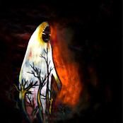 Drag Your White Fur, Make It Grey