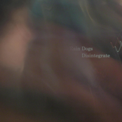 Disintegrate
