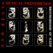 New Beat, A Musical Phenomenon