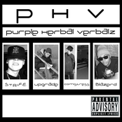 Purple Herbal Verbalz