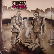 Mic Controla by Strickly Roots