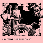 Nightingale Blue