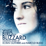 White Bird In A Blizzard
