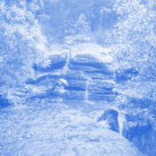 Stream Field Recording (Blue Mountains NSW)