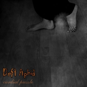 Cardial Puzzle (single)