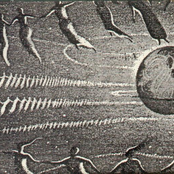 The Long March