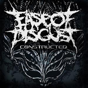 Constructed (Single)