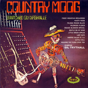 Nashville Moog by Gil Trythall