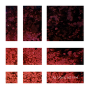 Just Yours, Not Mine - Single
