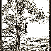 Feudales / Paisaje electrónico