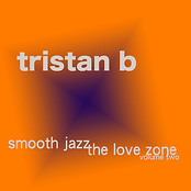 Smooth Jazz The Love Zone Vol. 2