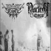 Nulification Warmongery