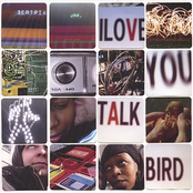 I Love You Talk Bird