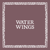 Water Wings