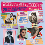Teenage Crush, Vol. 5