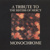Monochrome: A Tribute To The Sisters Of Mercy
