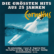 Die Größten Hits aus 25 Jahren