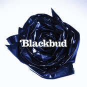 Darkness by Blackbud