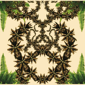 Aruanda (Duc In Altum Remix)