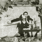 The Perfect Fit by The Dresden Dolls