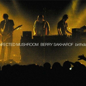 infected mushroom & berry sakharof