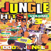Jungle Hits, Vol. 3