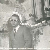 Another Time I Could Have Loved You by Gary Wilson