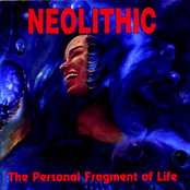 Nightly Friends by Neolithic