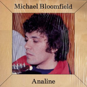 Hilo Waltz by Mike Bloomfield