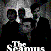 the seamus