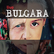 Bulgara Live