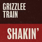 Shakin' - Single