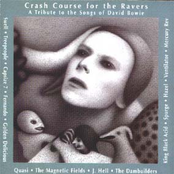 Crash Course For The Ravers: A Tribute To David Bowie